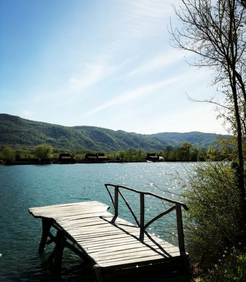 Drinski san kuca sa bazenom Srbija